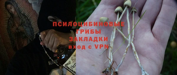 гидра Аркадак