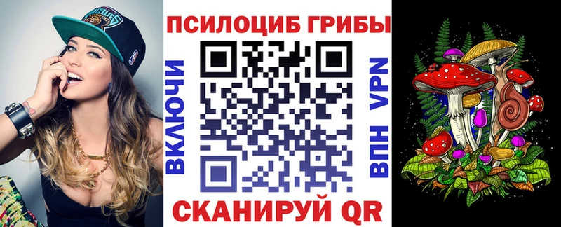 как найти Макарьев Галлюциногенные грибы MAGIC MUSHROOMS